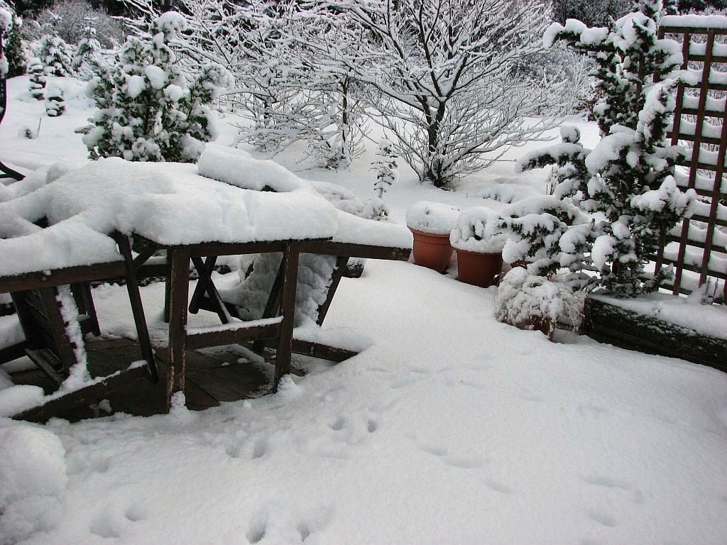 IMPREZKA ON-LINE 2017-2020 (dzieci powy�ej 18 lat) !!!