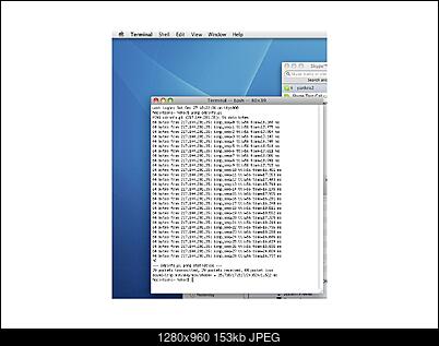 Brak forum.-ping.jpg