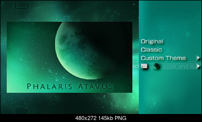 Phalaris-phalaris_atavus_1.png
