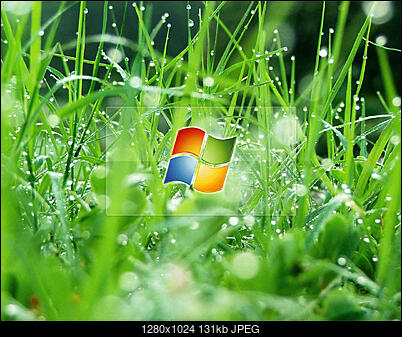 -vista_wallpaper_3.jpg