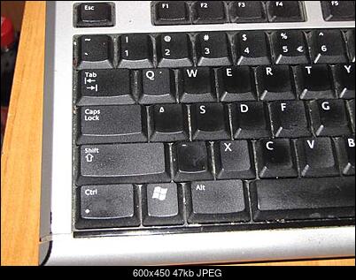 -img_2298.jpg