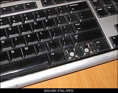 -img_2299.jpg
