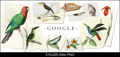 Logo Google-william-john-swainsons-224th-birthday-5655612935372800-hp.png