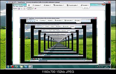 TeamViewer na maszynie wirtualnej-tv.jpg