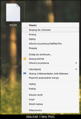 GrzeboSkrypt-win7_ppm2.png