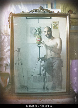 -3-pineapple-pinhole-ph.-vinsart.jpeg
