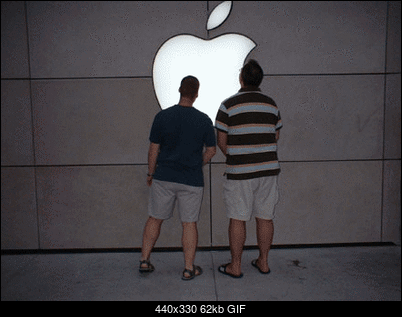 -original.gif