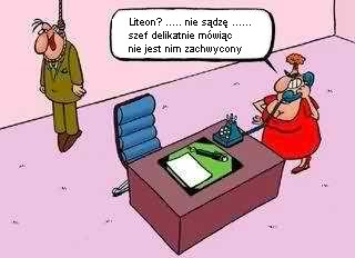 Problem ze Szrinkiem-litek.jpg