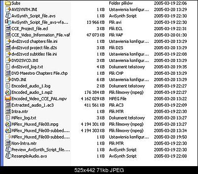 problem z konwersja divx do dvd-film.jpg