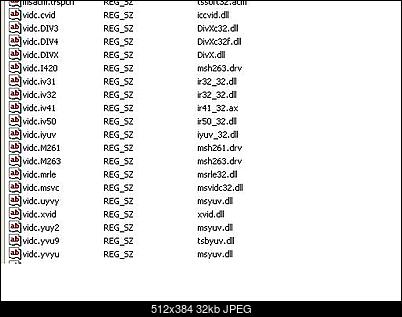 CCE nie widzi codec DX 5.0-rej.jpg