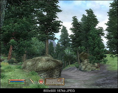 The Elder Scrolls IV: Oblivion-screenshot1_resize.jpg