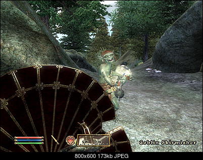 The Elder Scrolls IV: Oblivion-screenshot2_resize.jpg