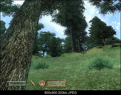 The Elder Scrolls IV: Oblivion-screenshot7_resize.jpg