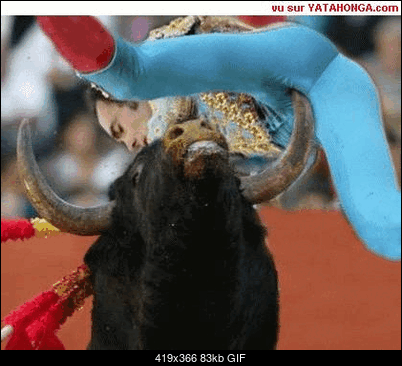 Funny fotos, kawaly... itp. - jeszcze sie tak nie usmialem :)-s1.gif