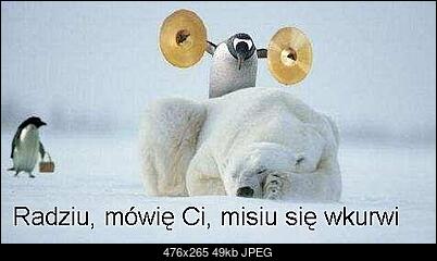 Funny fotos, kawaly... itp. - jeszcze sie tak nie usmialem :)-niedzwiedz.jpg