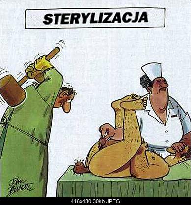 Funny fotos, kawaly... itp. - jeszcze sie tak nie usmialem :)-pic22704.jpg