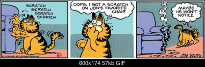 Funny fotos, kawaly... itp. - jeszcze sie tak nie usmialem :)-ga780801.gif