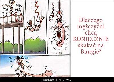 Funny fotos, kawaly... itp. - jeszcze sie tak nie usmialem :)-bungie_m.jpg