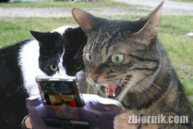 Funny fotos, kawaly... itp. - jeszcze sie tak nie usmialem :)-gracz.jpg