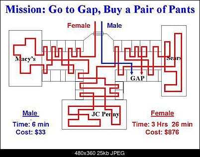 Funny fotos, kawaly... itp. - jeszcze sie tak nie usmialem :)-female-shopping.jpg