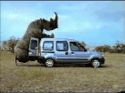 Funny fotos, kawaly... itp. - jeszcze sie tak nie usmialem :)-hip.gif