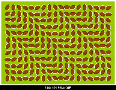 Funny fotos, kawaly... itp. - jeszcze sie tak nie usmialem :)-trippy.gif