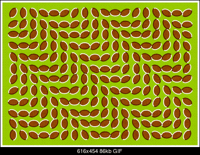 Funny fotos, kawaly... itp. - jeszcze sie tak nie usmialem :)-trippy.gif