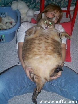 Funny fotos, kawaly... itp. - jeszcze sie tak nie usmialem :)-big.jpg