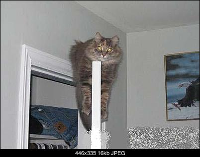 Funny fotos, kawaly... itp. - jeszcze sie tak nie usmialem :)-things-make-you-smile.-www.metacafe.com-10.jpg