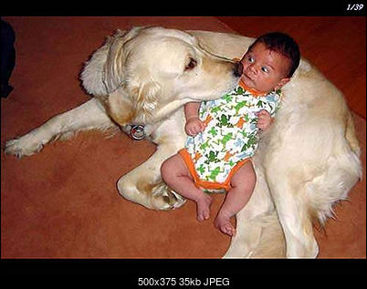 Funny fotos, kawaly... itp. - jeszcze sie tak nie usmialem :)-pic0620.jpg