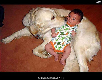 Funny fotos, kawaly... itp. - jeszcze sie tak nie usmialem :)-pic0620.jpg