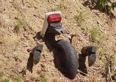 Funny fotos, kawaly... itp. - jeszcze sie tak nie usmialem :)-crashburrid.jpg