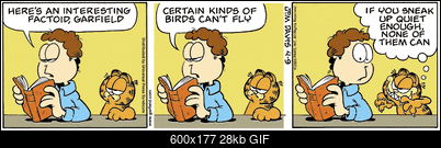 Funny fotos, kawaly... itp. - jeszcze sie tak nie usmialem :)-ga050409.gif