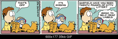 Garfield-ga050830.gif