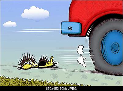 Funny fotos...-jerzyk.jpg