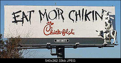 Funny fotos...-chiken.jpg