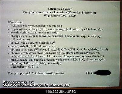 Funny fotos...-praca.jpg
