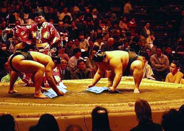 Funny fotos...-sumo.jpg