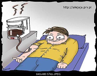 Funny fotos...-kawa_640x480.jpg