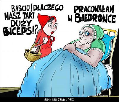 Funny fotos...-biedronka.jpg
