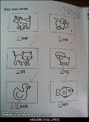 Funny fotos...-duck.jpg
