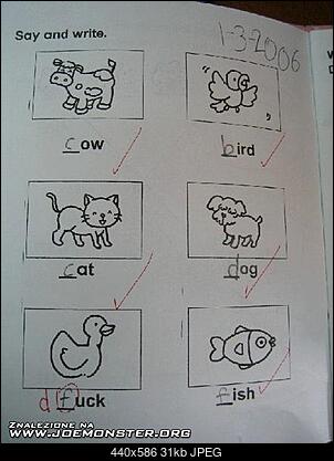 Funny fotos...-duck.jpg