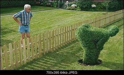 Funny fotos...-podbor88239rx.jpg