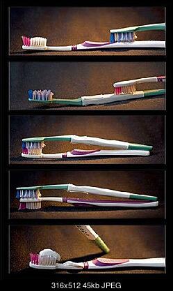 Funny fotos...-szczoteczki.jpg