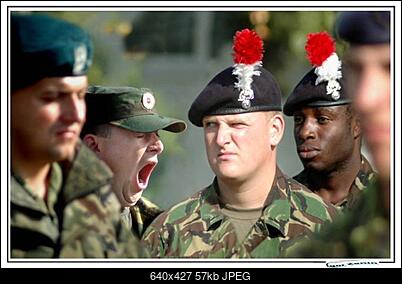 Funny fotos...-foto06.jpg