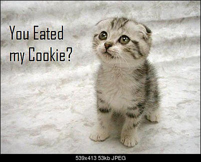 Funny fotos...-302602393_a5eef3a2ae_o.jpg