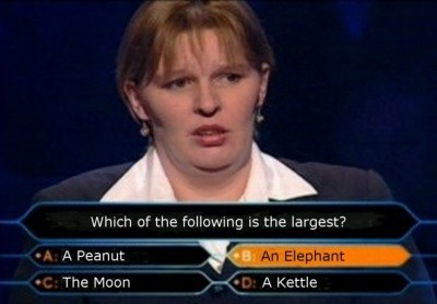 Funny fotos...-woman.jpg