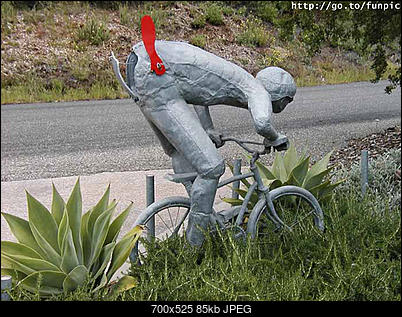 Funny fotos...-00005674.jpg
