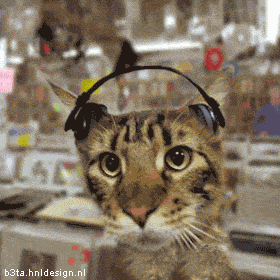 Funny fotos...-disco.gif