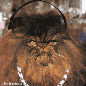 Funny fotos...-hiphop.gif